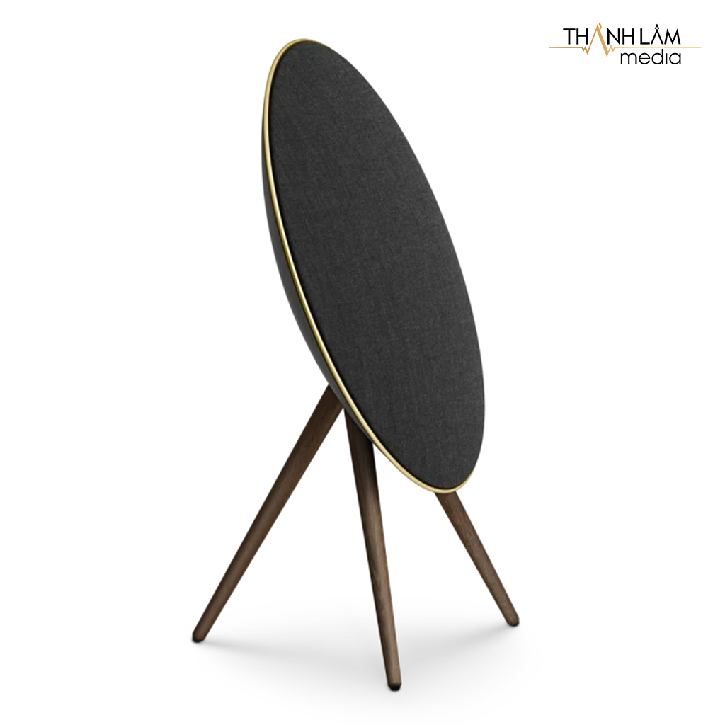 Bang & Olufsen Beoplay A9 MK4 (hỗ trợ Google Assistant) 11
