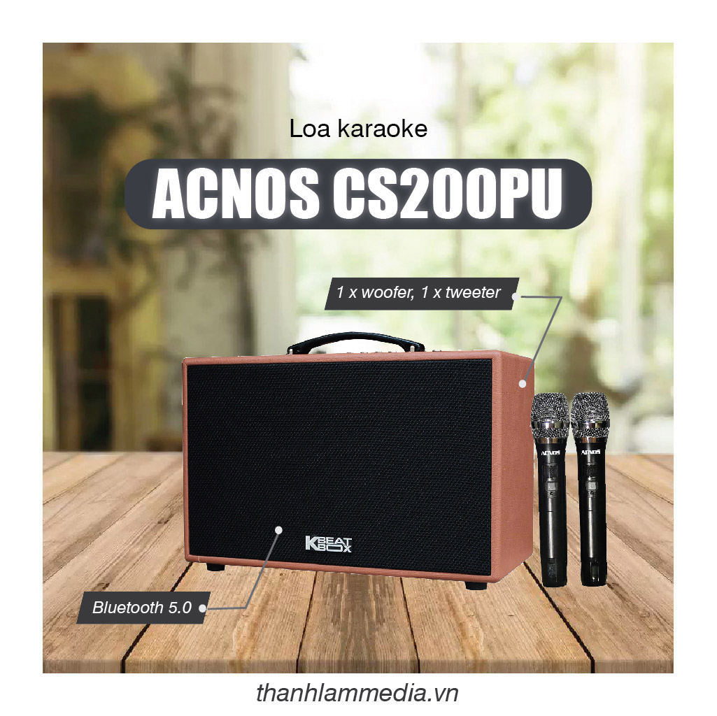 Thuê loa karaoke ACNOS CS250PU 1